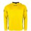 Afbeeldingen van Drive Match Shirt LS  